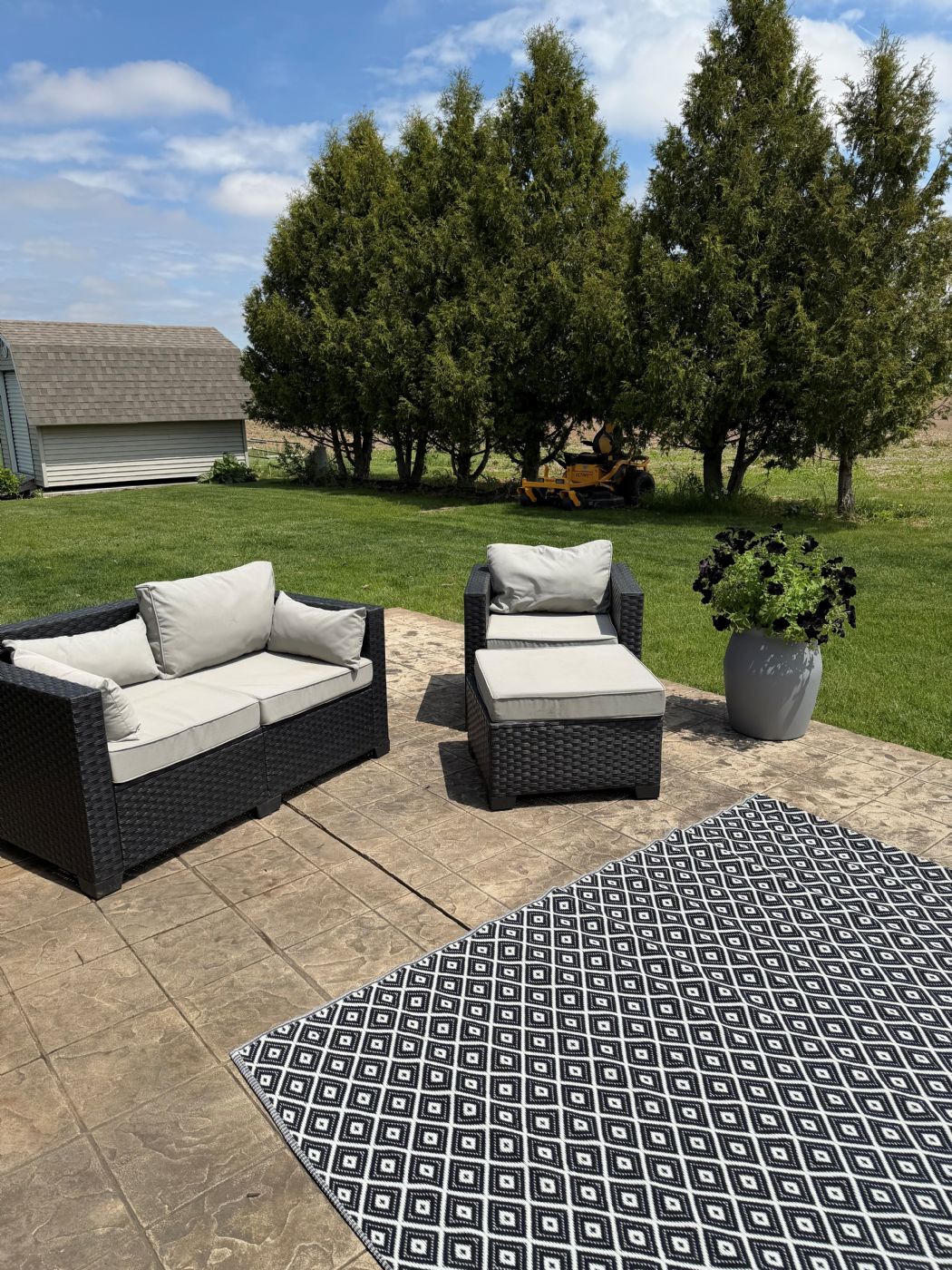 Back Yard